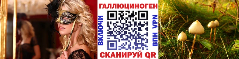 Псилоцибиновые грибы Psilocybine cubensis  Купить где  Партизанск 